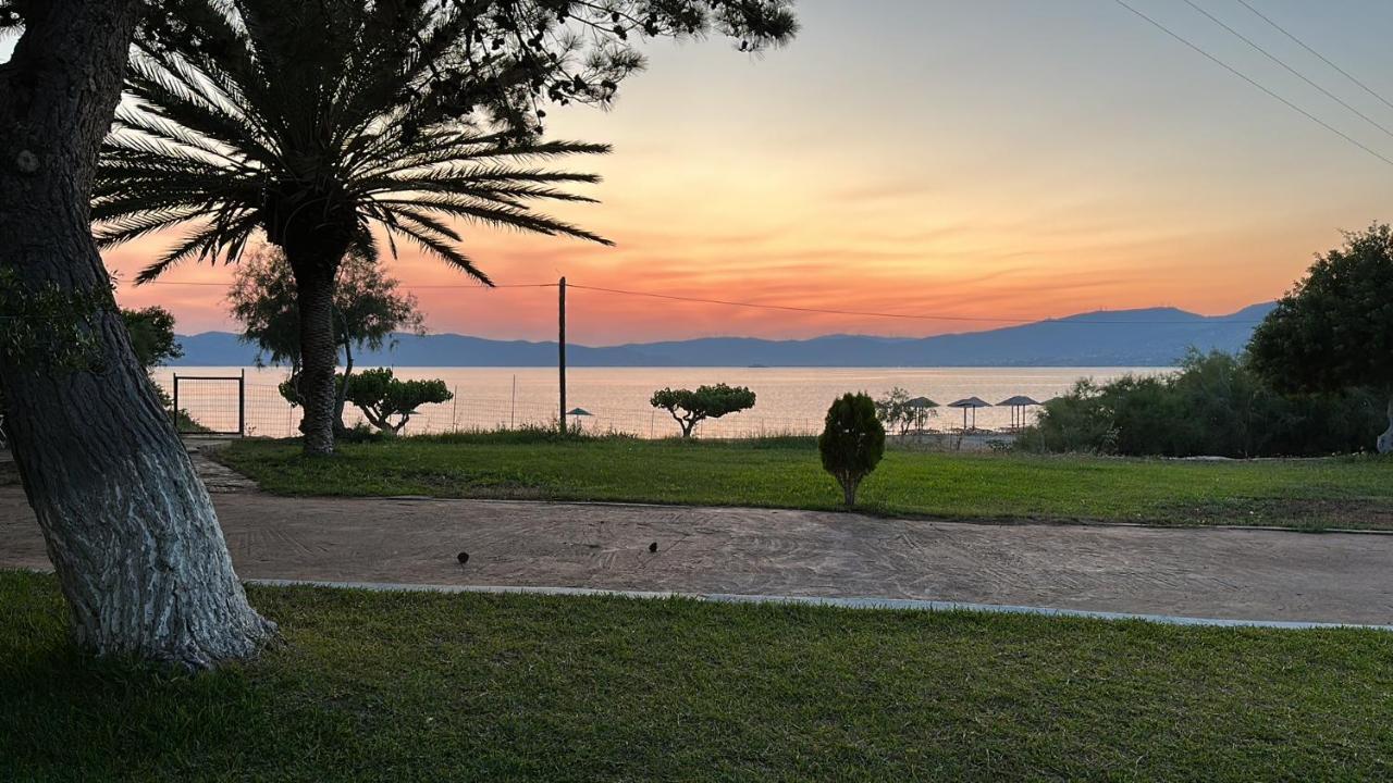 Bouros Seaview Farm Karystos (Evia)